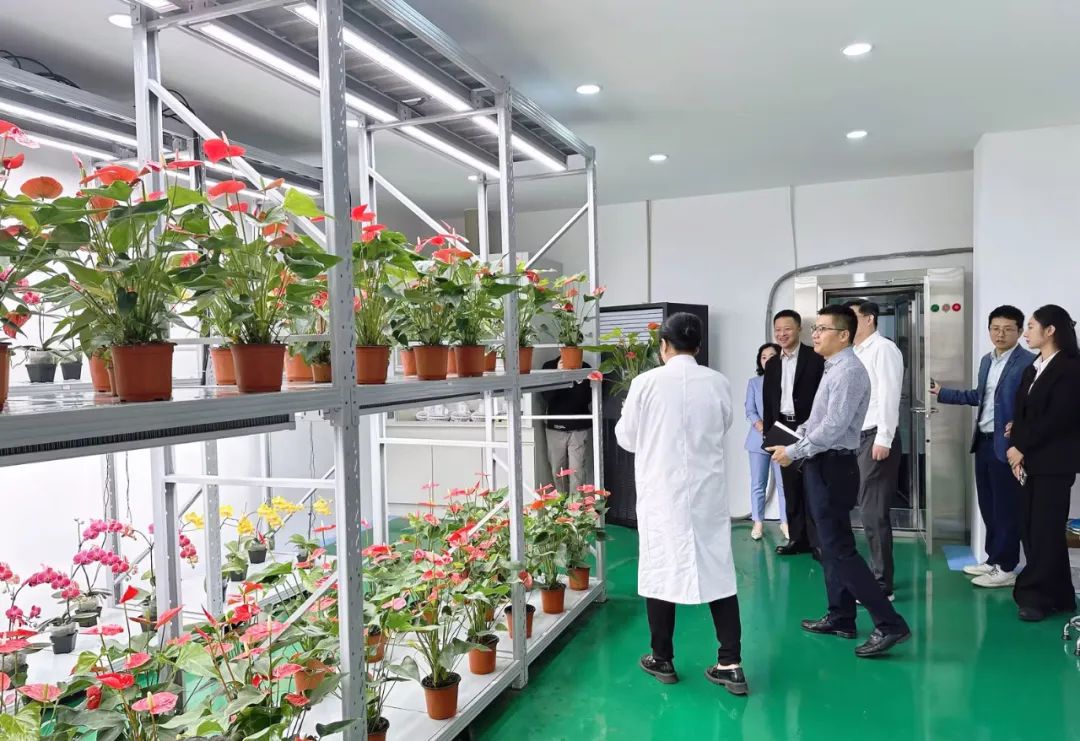 &#24320;&#20113;&#25163;&#26426;&#31449;&#20837;&#21475;&#45;&#24320;&#20113;&#40;&#20013;&#22269;&#41;
